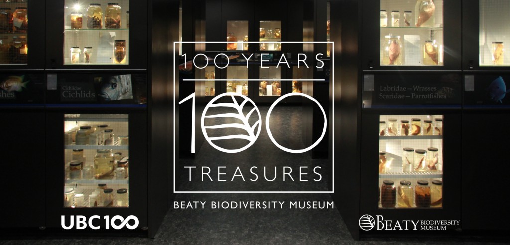 Top Treasures Exhibit