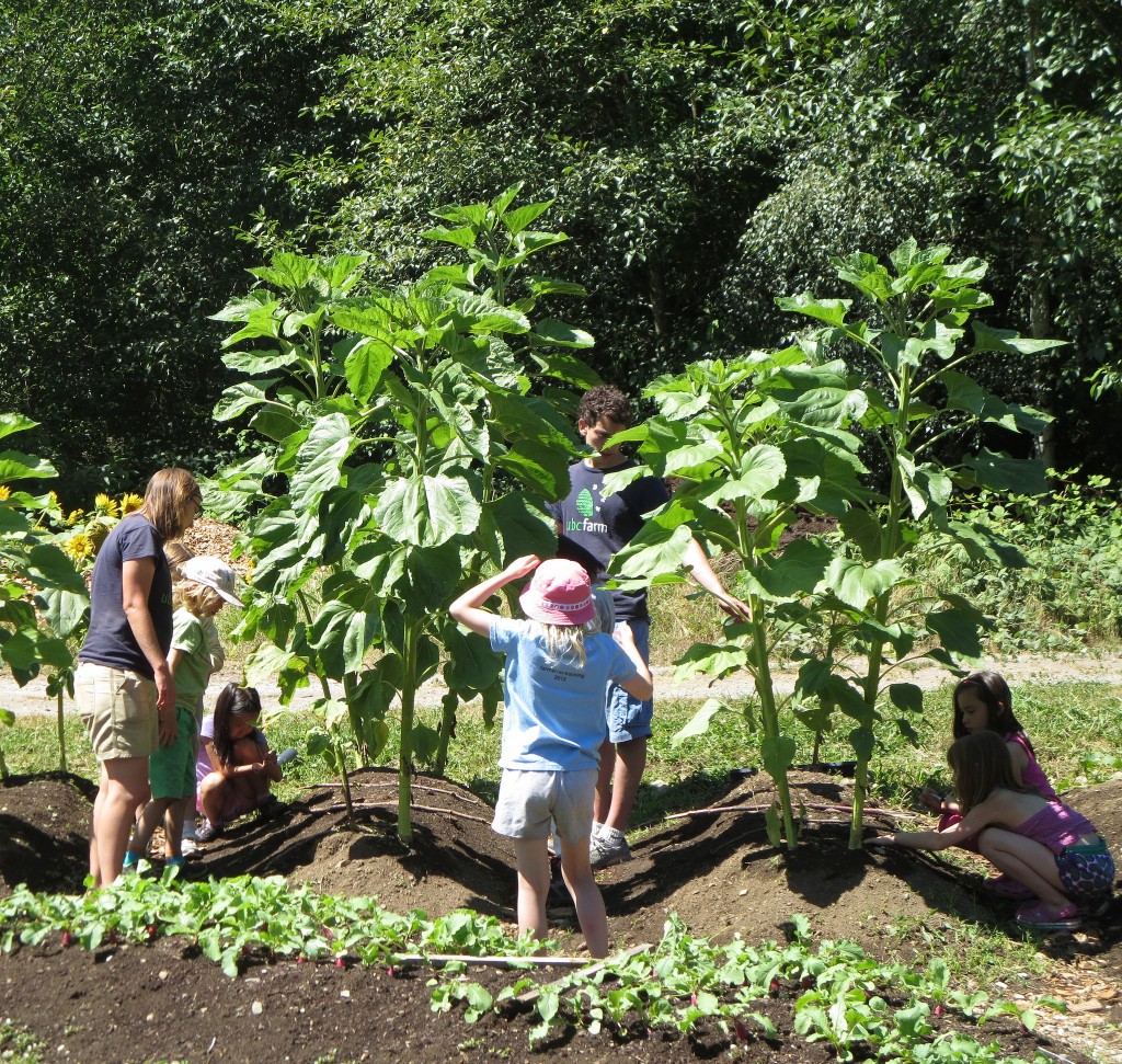 UBC Farm Child Program